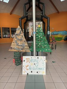 Jolis sapins