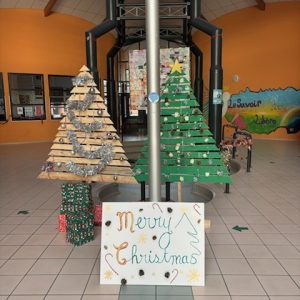 Jolis sapins
